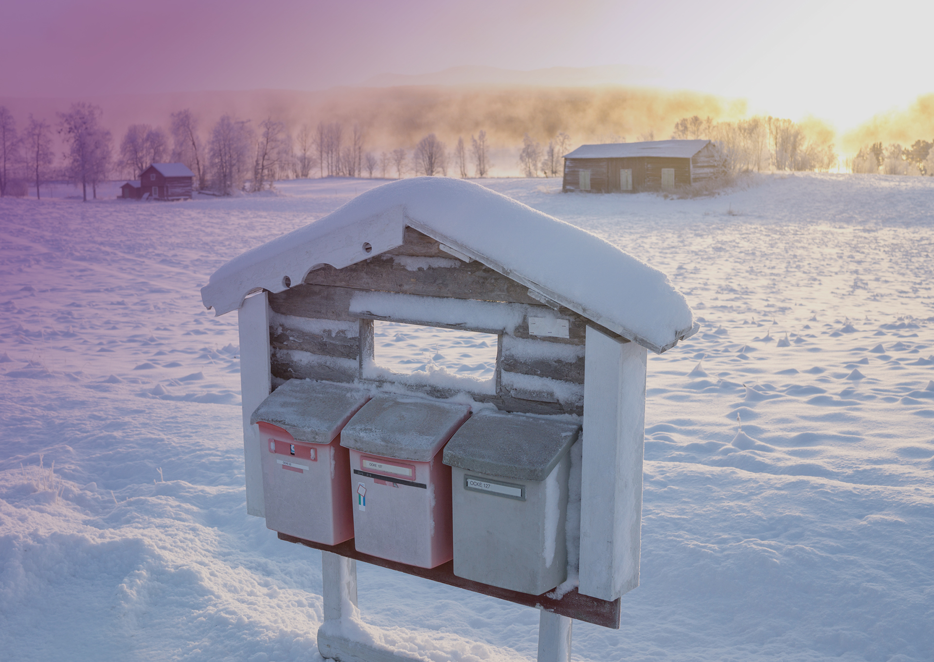 Tre stycken frostiga brevlådor hänger utomhus på en ställning. I bakgrunden syns en snötäckt åker och några byggnader.