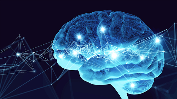 Bild från Intuicell som illustrerar hjärnan och AI