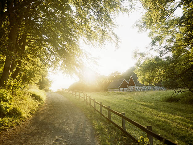 Foto av en grusväg som går förbi en bondgård i lantlig miljö